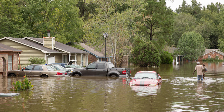 Flooded houses and cars.