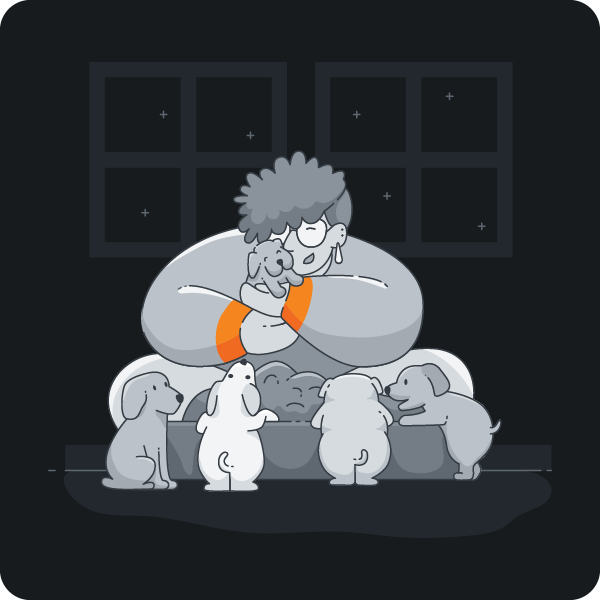 Dotsure - Best Pet Insurance Company | Hippo.co.za Dotsure - Best Pet Insurance Company | Hippo.co.za