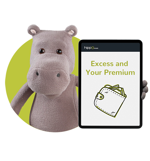 How-Excess-Affects-Your-Premium How-Excess-Affects-Your-Premium