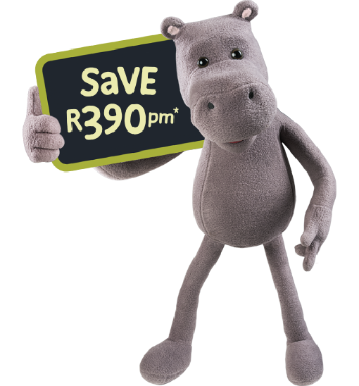 Hippo holding board, Save 'R390 on car insurance'