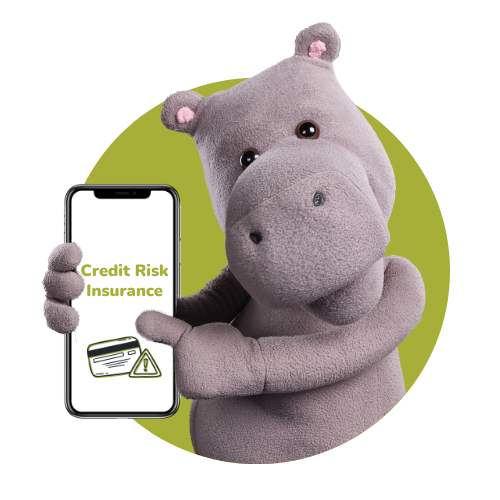 Credit Risk Insurance