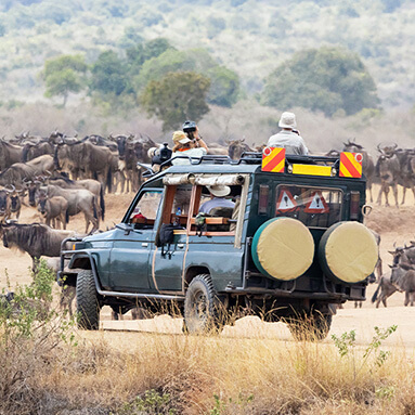 Discover the Wonders of Kenya | Hippo.co.za